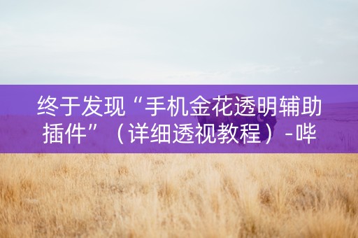 终于发现“手机金花透明辅助插件”（详细透视教程）-哔哩哔哩