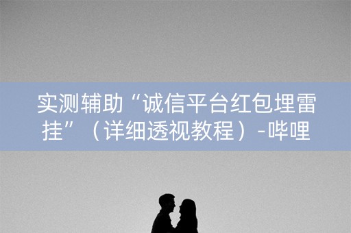 实测辅助“诚信平台红包埋雷挂”（详细透视教程）-哔哩哔哩