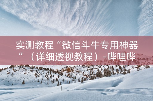 实测教程“微信斗牛专用神器”（详细透视教程）-哔哩哔哩