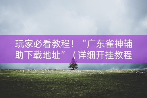 玩家必看教程！“广东雀神辅助下载地址”（详细开挂教程）-哔哩哔哩