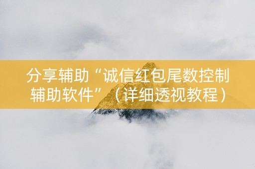 分享辅助“诚信红包尾数控制辅助软件”（详细透视教程）-哔哩哔哩