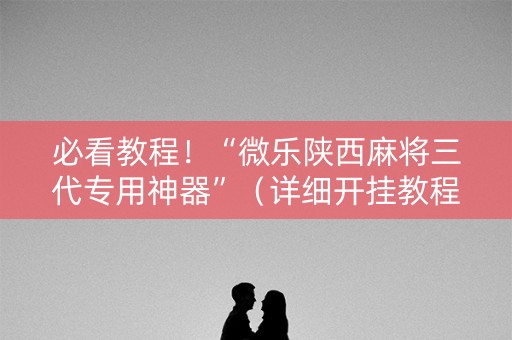 必看教程！“微乐陕西麻将三代专用神器”（详细开挂教程）-哔哩哔哩