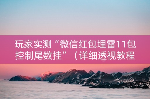 玩家实测“微信红包埋雷11包控制尾数挂”（详细透视教程）-哔哩哔哩