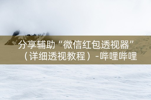 分享辅助“微信红包透视器”（详细透视教程）-哔哩哔哩