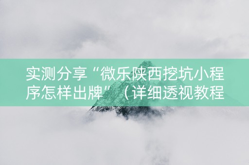 实测分享“微乐陕西挖坑小程序怎样出牌”（详细透视教程）-哔哩哔哩