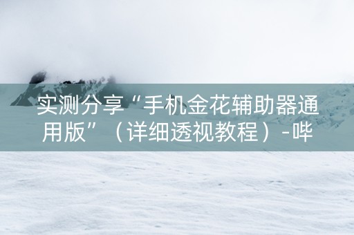 实测分享“手机金花辅助器通用版”（详细透视教程）-哔哩哔哩