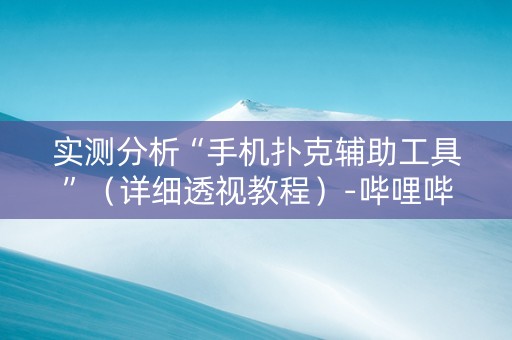 实测分析“手机扑克辅助工具”（详细透视教程）-哔哩哔哩