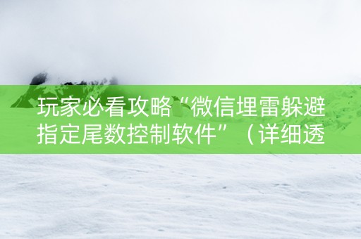 玩家必看攻略“微信埋雷躲避指定尾数控制软件”（详细透视教程）-哔哩哔哩