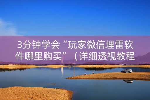 3分钟学会“玩家微信埋雷软件哪里购买”（详细透视教程）-哔哩哔哩