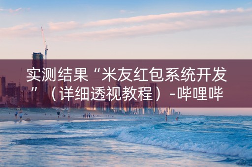 实测结果“米友红包系统开发”（详细透视教程）-哔哩哔哩