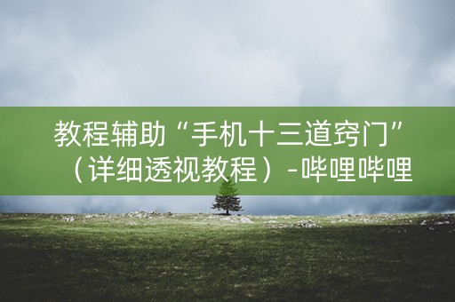 教程辅助“手机十三道窍门”（详细透视教程）-哔哩哔哩