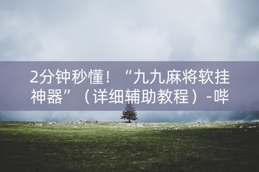 2分钟秒懂！“九九麻将软挂神器”（详细辅助教程）-哔哩哔哩