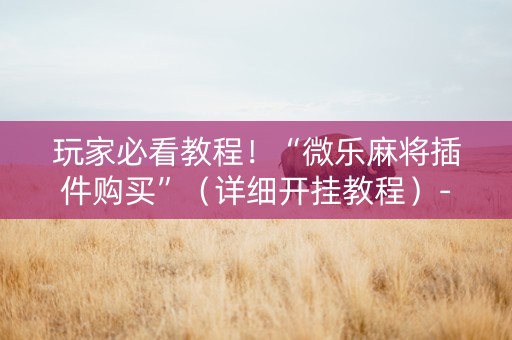 玩家必看教程！“微乐麻将插件购买”（详细开挂教程）-哔哩哔哩
