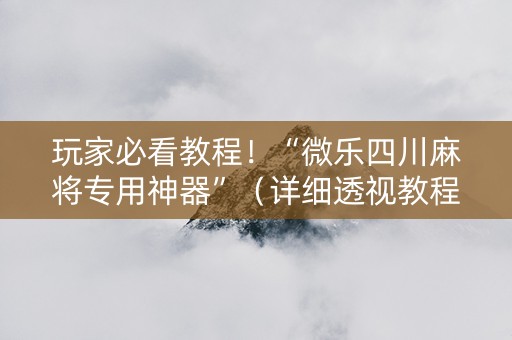 玩家必看教程！“微乐四川麻将专用神器”（详细透视教程）-哔哩哔哩