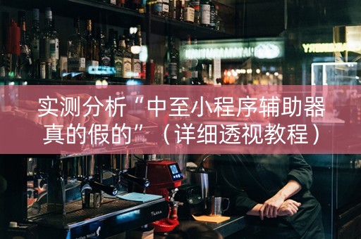 实测分析“中至小程序辅助器真的假的”（详细透视教程）-哔哩哔哩