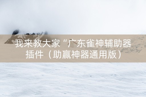 我来教大家“广东雀神辅助器插件（助赢神器通用版）
