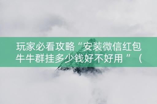 玩家必看攻略“安装微信红包牛牛群挂多少钱好不好用 ”（详细透视教程）-哔哩哔哩