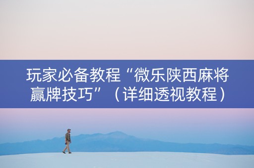 玩家必备教程“微乐陕西麻将赢牌技巧”（详细透视教程）-哔哩哔哩