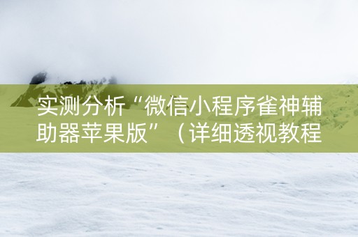 实测分析“微信小程序雀神辅助器苹果版”（详细透视教程）-哔哩哔哩