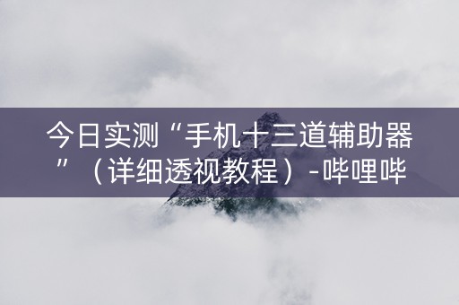 今日实测“手机十三道辅助器”（详细透视教程）-哔哩哔哩