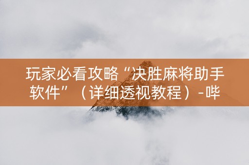 玩家必看攻略“决胜麻将助手软件”（详细透视教程）-哔哩哔哩