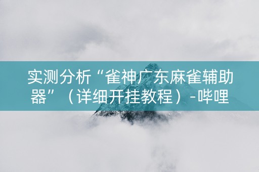 实测分析“雀神广东麻雀辅助器”（详细开挂教程）-哔哩哔哩