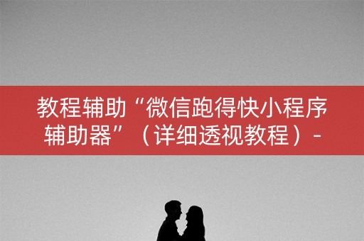教程辅助“微信跑得快小程序辅助器”（详细透视教程）-哔哩哔哩