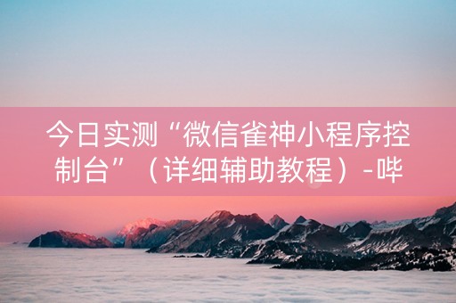 今日实测“微信雀神小程序控制台”（详细辅助教程）-哔哩哔哩