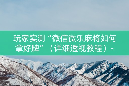 玩家实测“微信微乐麻将如何拿好牌”（详细透视教程）-哔哩哔哩