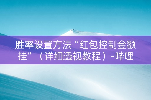 胜率设置方法“红包控制金额挂”（详细透视教程）-哔哩哔哩