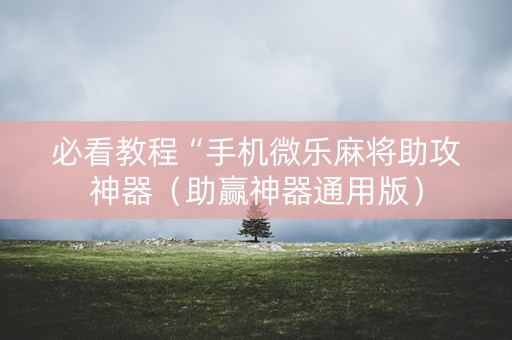 必看教程“手机微乐麻将助攻神器（助赢神器通用版）