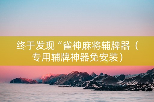 终于发现“雀神麻将辅牌器（专用辅牌神器免安装）