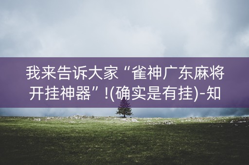 我来告诉大家“雀神广东麻将开挂神器”!(确实是有挂)-知乎