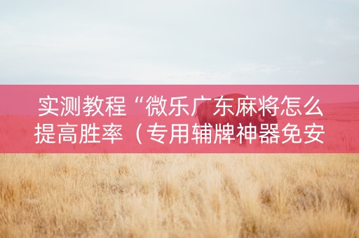 实测教程“微乐广东麻将怎么提高胜率（专用辅牌神器免安装）