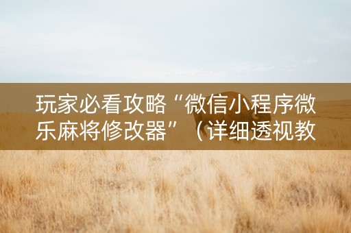 玩家必看攻略“微信小程序微乐麻将修改器”（详细透视教程）-哔哩哔哩