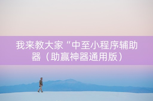 我来教大家“中至小程序辅助器（助赢神器通用版）