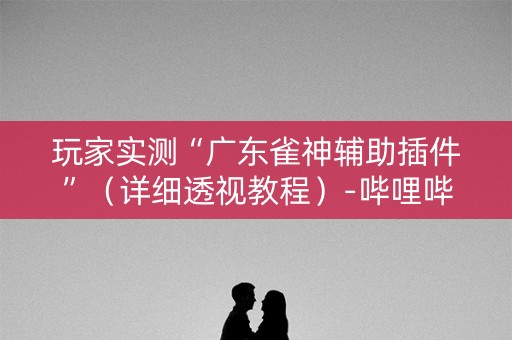 玩家实测“广东雀神辅助插件”（详细透视教程）-哔哩哔哩