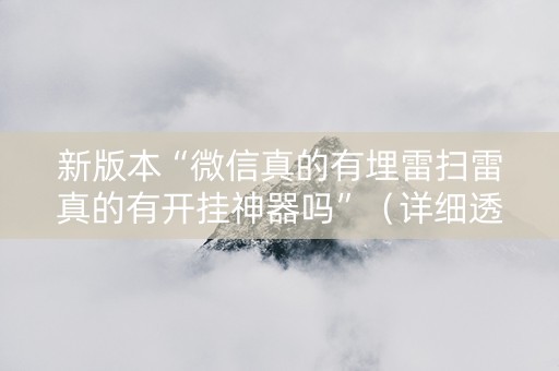 新版本“微信真的有埋雷扫雷真的有开挂神器吗”（详细透视教程）-哔哩哔哩