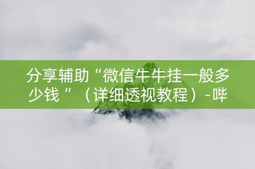 分享辅助“微信牛牛挂一般多少钱 ”（详细透视教程）-哔哩哔哩