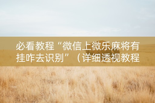 必看教程“微信上微乐麻将有挂咋去识别”（详细透视教程）-哔哩哔哩