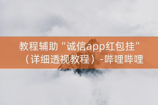 教程辅助“诚信app红包挂”（详细透视教程）-哔哩哔哩