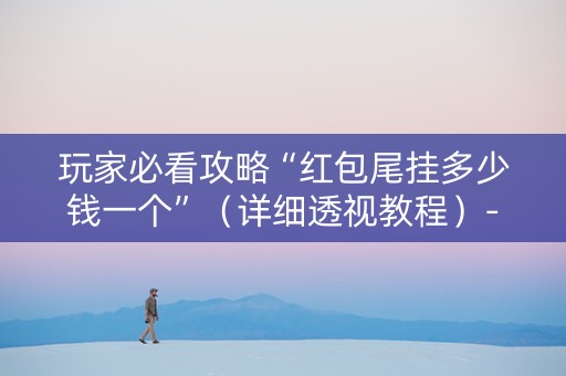 玩家必看攻略“红包尾挂多少钱一个”（详细透视教程）-哔哩哔哩
