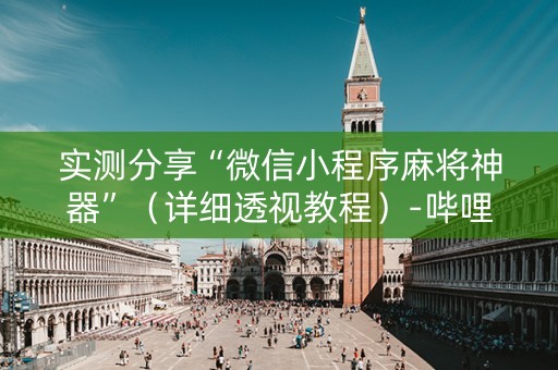 实测分享“微信小程序麻将神器”（详细透视教程）-哔哩哔哩
