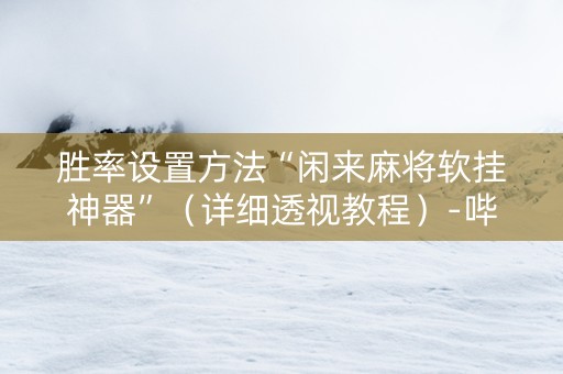 胜率设置方法“闲来麻将软挂神器”（详细透视教程）-哔哩哔哩