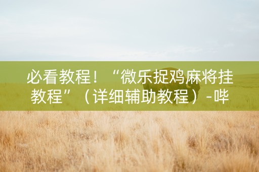 必看教程！“微乐捉鸡麻将挂教程”（详细辅助教程）-哔哩哔哩