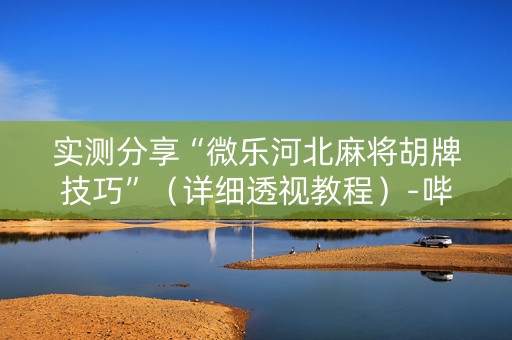 实测分享“微乐河北麻将胡牌技巧”（详细透视教程）-哔哩哔哩
