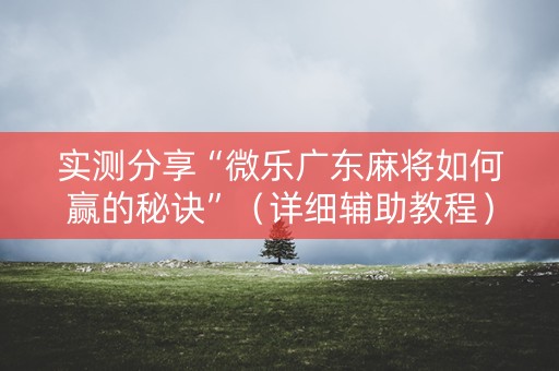实测分享“微乐广东麻将如何赢的秘诀”（详细辅助教程）-哔哩哔哩