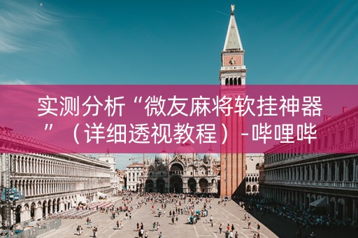实测分析“微友麻将软挂神器”（详细透视教程）-哔哩哔哩