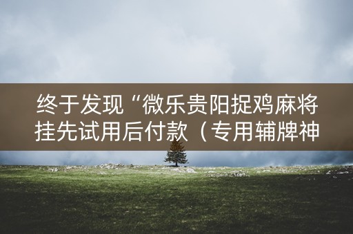 终于发现“微乐贵阳捉鸡麻将挂先试用后付款（专用辅牌神器免安装）