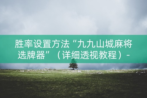 胜率设置方法“九九山城麻将选牌器”（详细透视教程）-哔哩哔哩